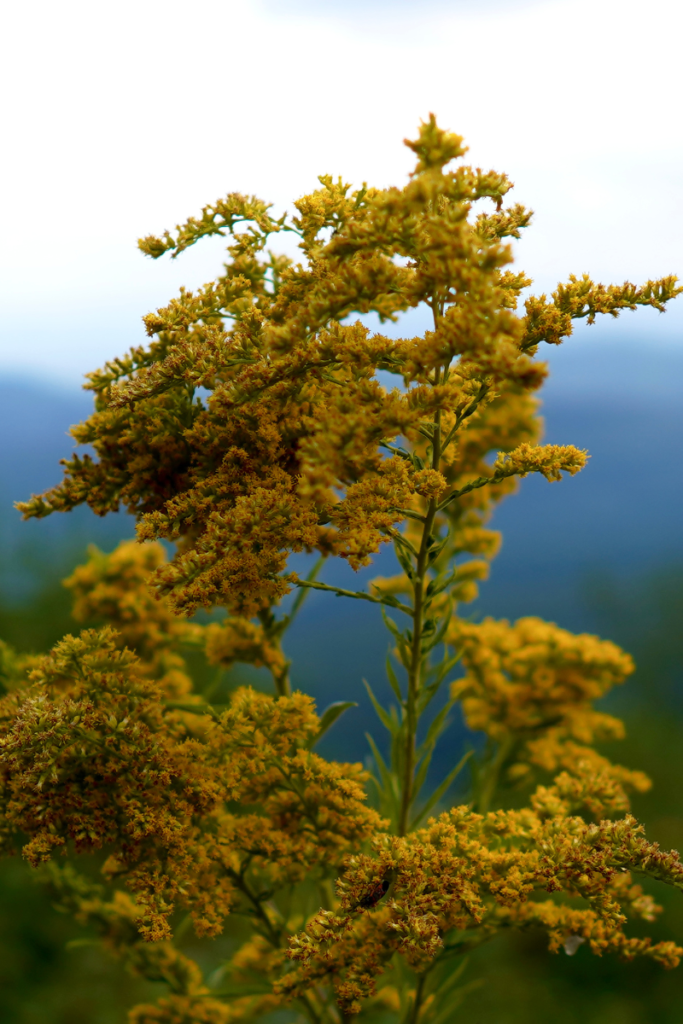 A Guide to Delis and Outdoor Eateries in Istanbul